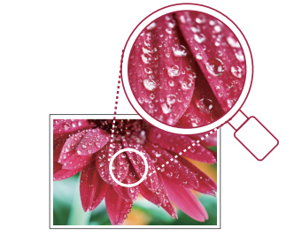 理光新款復印機IMC6500和IMC8000-高清畫質